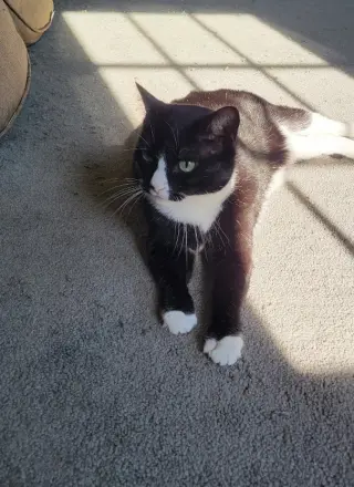 Sally