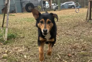 Romeo