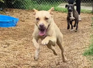 Fiona