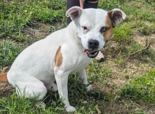 Oakley