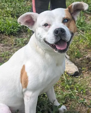 Oakley