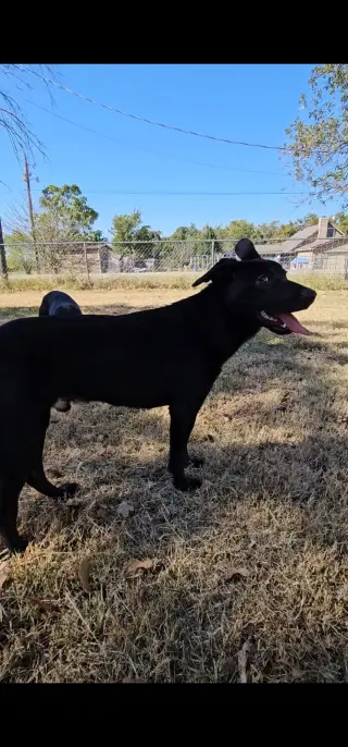 Jax