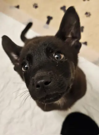 Jax