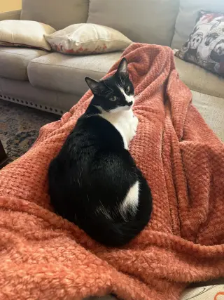 Rocky H