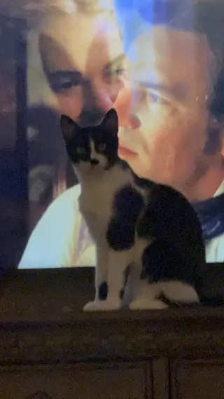 Rocky H