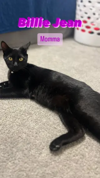 Billie Jean H