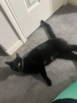 Billie Jean H