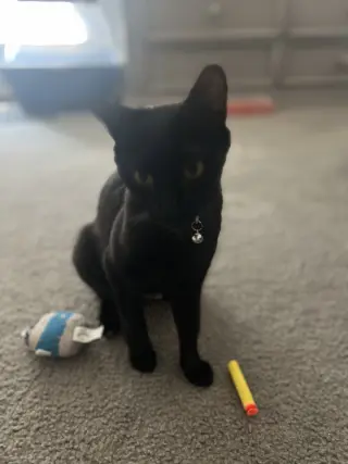 Billie Jean H
