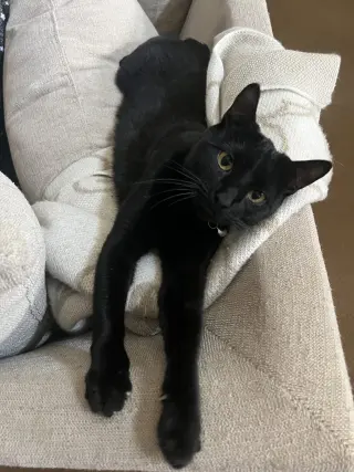 Billie Jean H