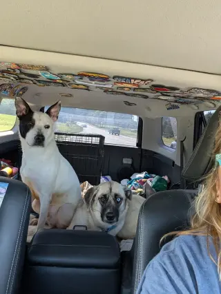 Parker - Louisiana Litter