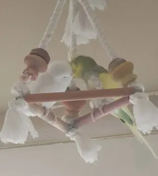 Spring and Snowball