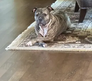 Princess