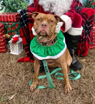 Fiona