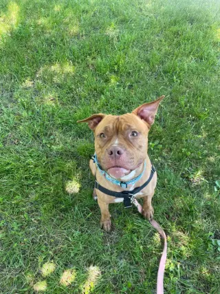Fiona