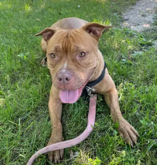 Fiona