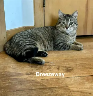 Breezeway