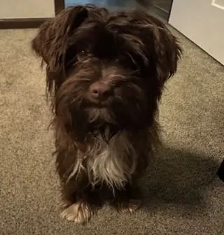 Wilson