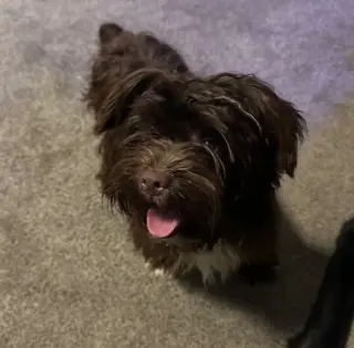 Wilson