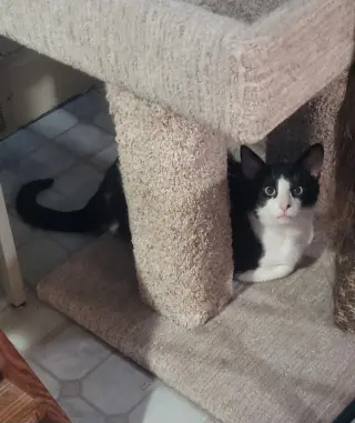 Bruce
