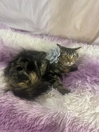 LUNA