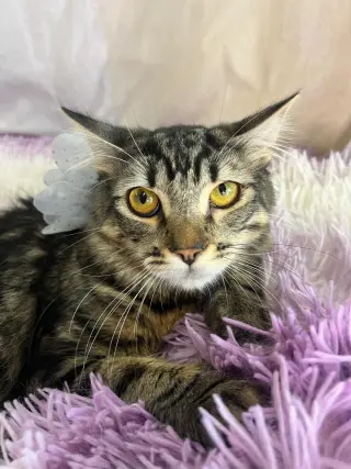 LUNA