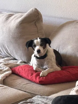 JACK #11