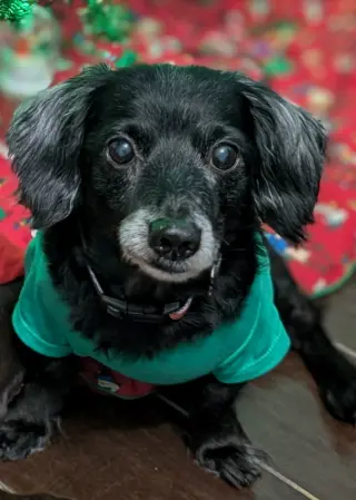 Buster
