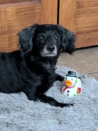 Buster
