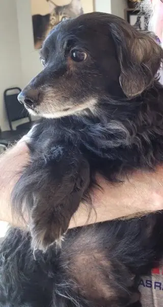 Buster