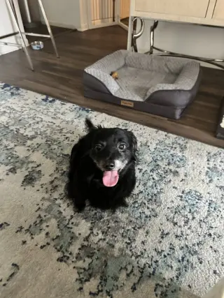 Buster