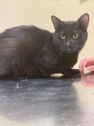 Sebastian