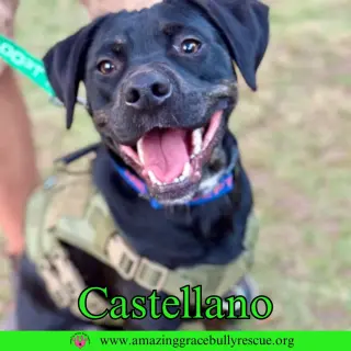 Castellano