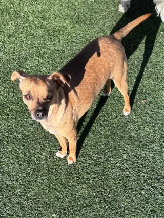 Gus