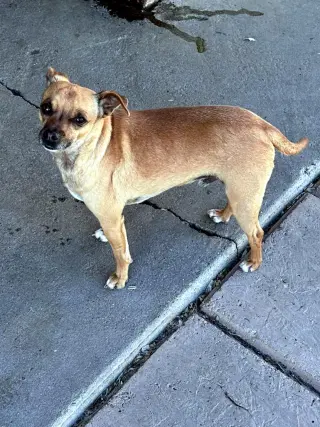 Gus