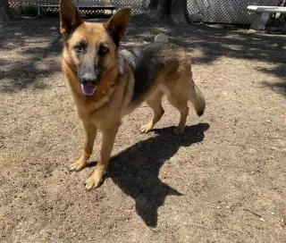 Skye