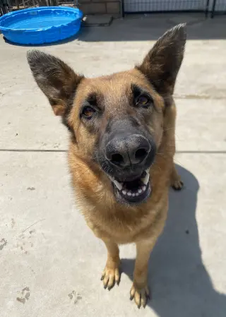 Skye