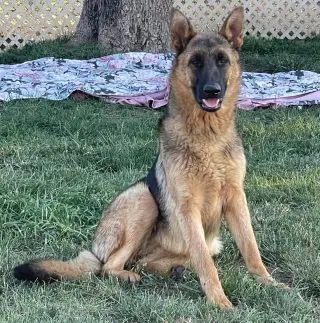 Skye