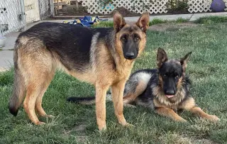 Skye