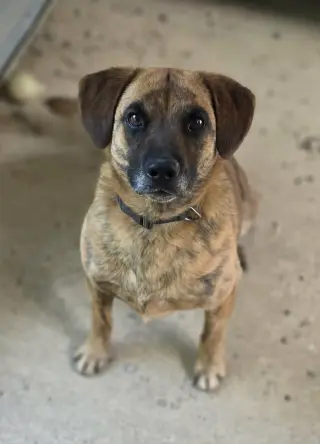 Odin