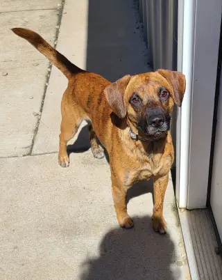 Odin
