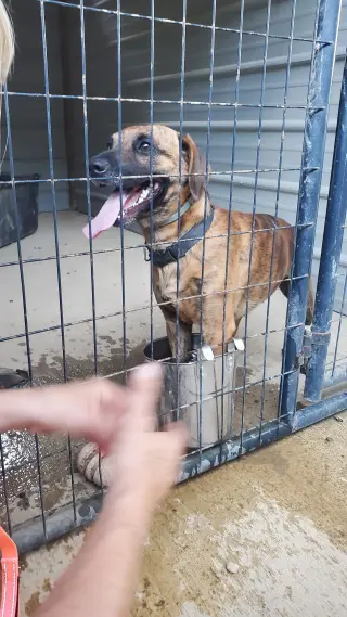 Odin