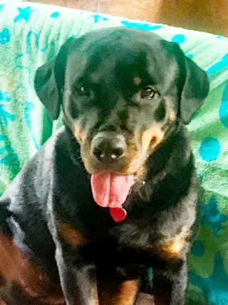 Jada