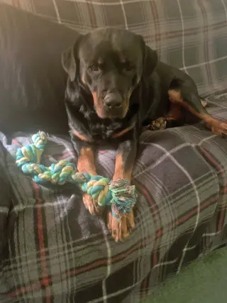 Jada