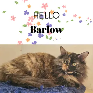 BARLOW