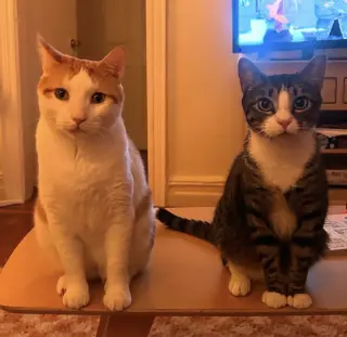 Tony and Ferris