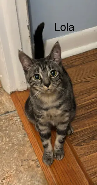 Lola