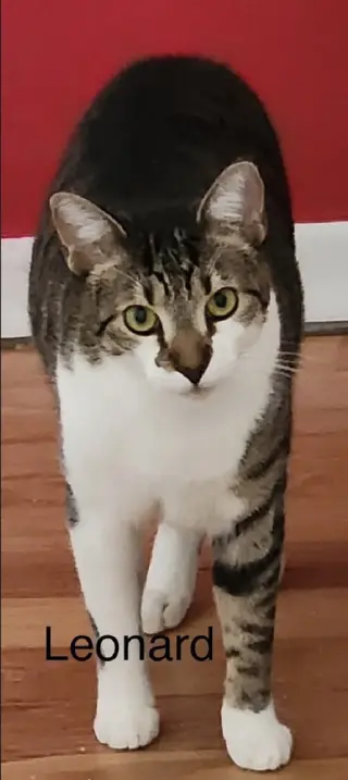 Leonard