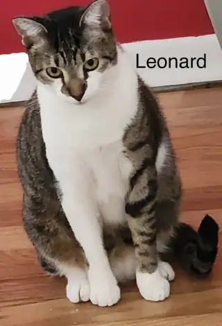 Leonard