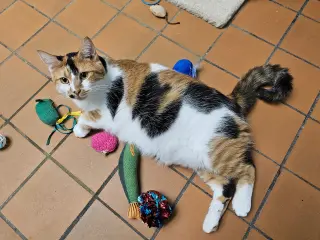 Penny & Marge