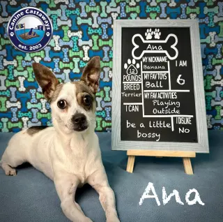 Ana